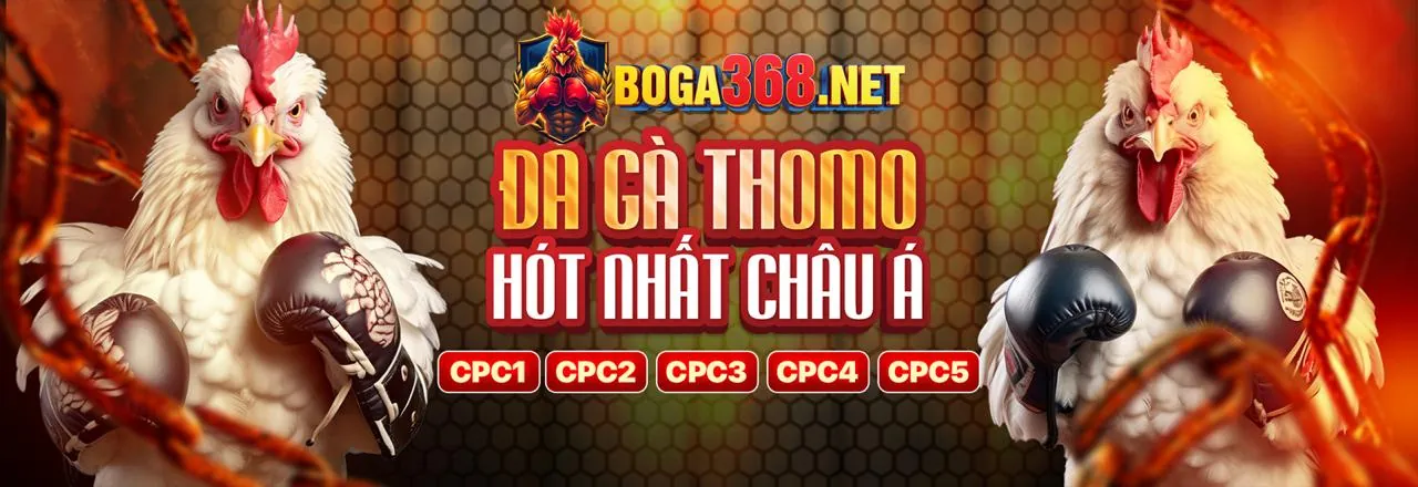 Sân vận động với trận đấu thể thao sôi động tại 566bet link mới
